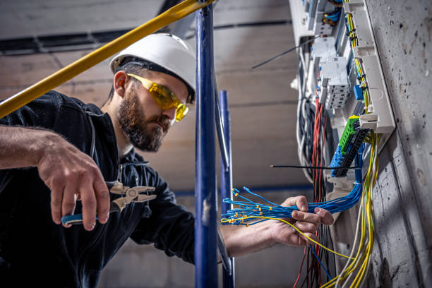 Best Affordable Electrician  in Ripley, MS